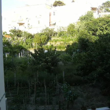 Affittacamere Blu Mare Ponza